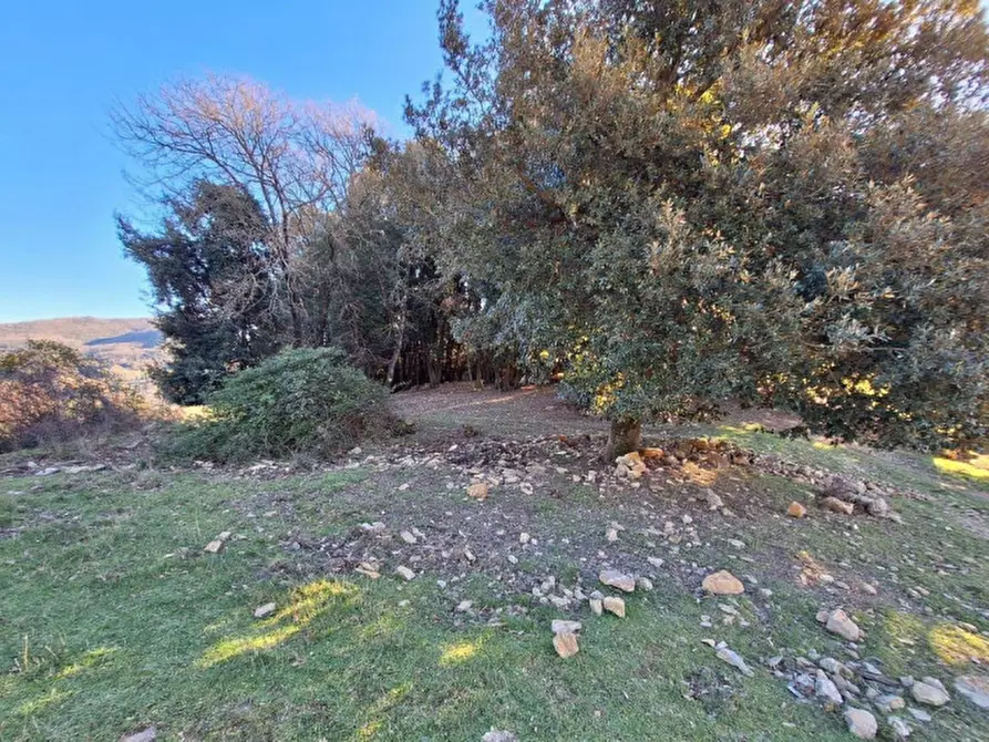 Immagine 9 di Appartamento in vendita  in Via Vittorio De Sica, N. 5-7 a Fiumicino