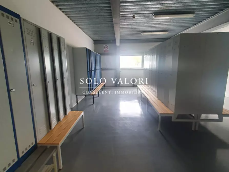 Immagine 7 di Capannone industriale in affitto  a Roncade