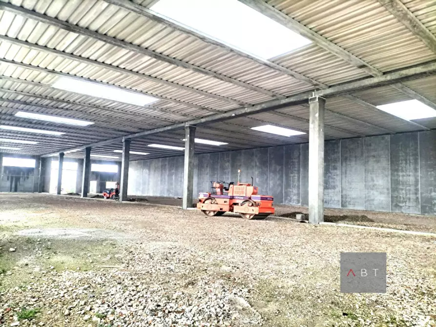 Immagine 5 di Capannone industriale in vendita  a Loreggia
