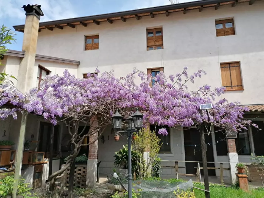 Immagine 2 di Casa indipendente in vendita  in Via Udine 25 a Palmanova