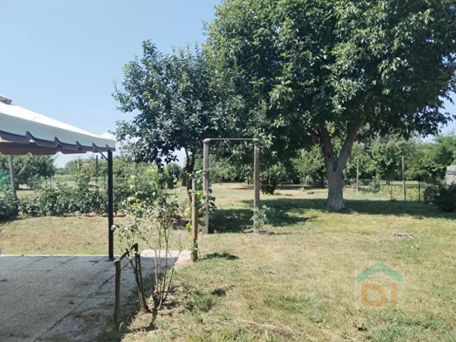 Immagine 4 di Casa indipendente in vendita  in Via Udine 25 a Palmanova