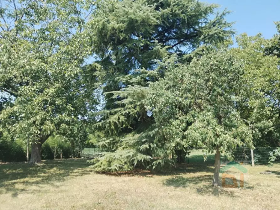 Immagine 9 di Casa indipendente in vendita  in Via Udine 25 a Palmanova