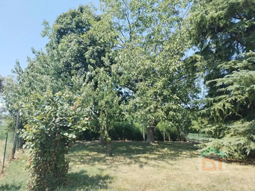 Immagine 11 di Casa indipendente in vendita  in Via Udine 25 a Palmanova