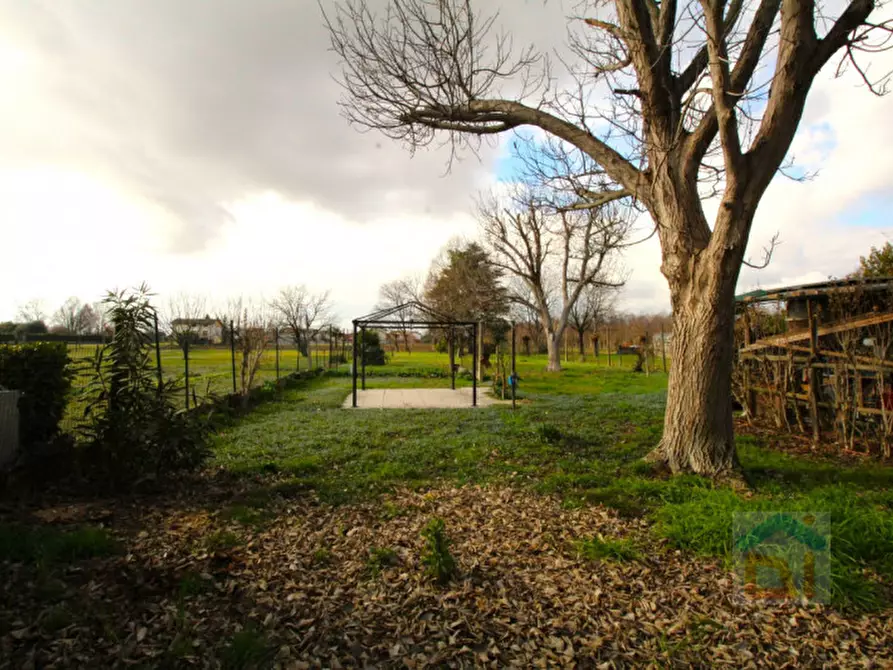 Immagine 18 di Casa indipendente in vendita  in Via Udine 25 a Palmanova