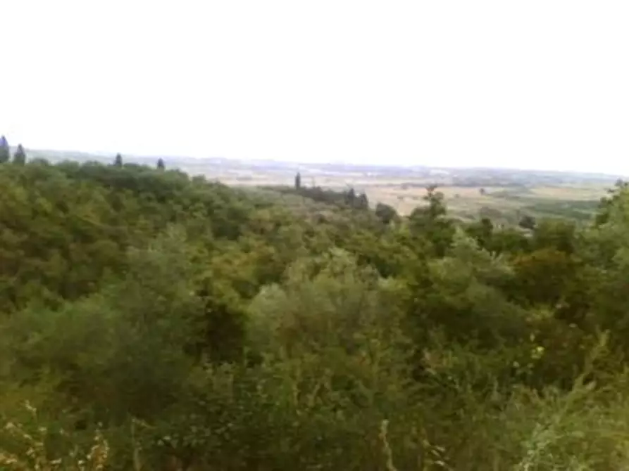 Immagine 4 di Magazzino in vendita  a Sinalunga