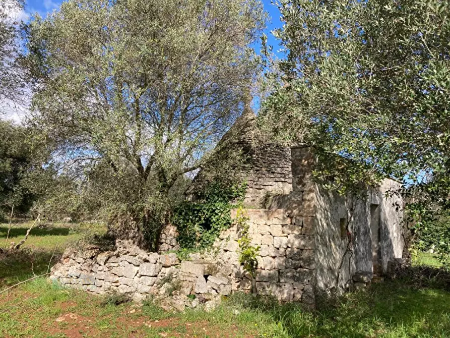 Immagine 5 di Rustico / casale in vendita  in Contrada Montecalvo a Ceglie Messapico