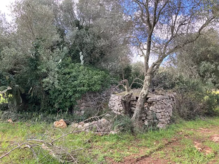 Immagine 7 di Rustico / casale in vendita  in Contrada Montecalvo a Ceglie Messapico