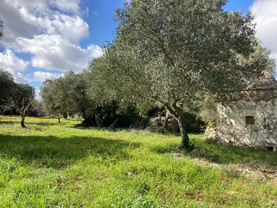 Immagine 8 di Rustico / casale in vendita  in Contrada Montecalvo a Ceglie Messapico