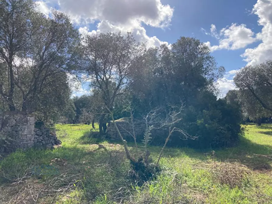 Immagine 12 di Rustico / casale in vendita  in Contrada Montecalvo a Ceglie Messapico