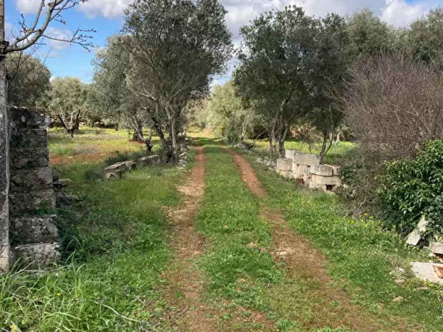 Immagine 14 di Rustico / casale in vendita  in Contrada Montecalvo a Ceglie Messapico