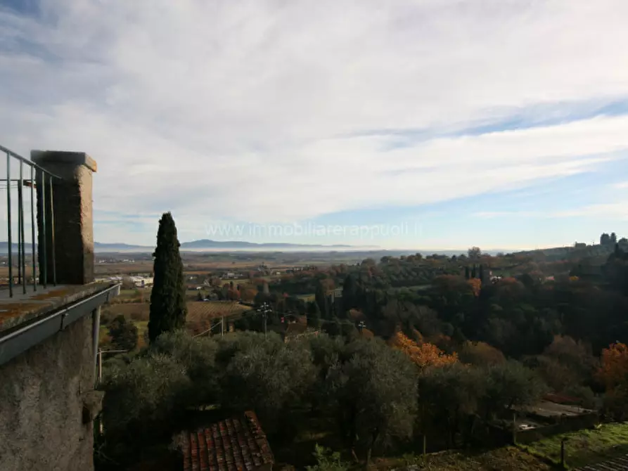 Immagine 5 di Casa indipendente in vendita  a Sinalunga