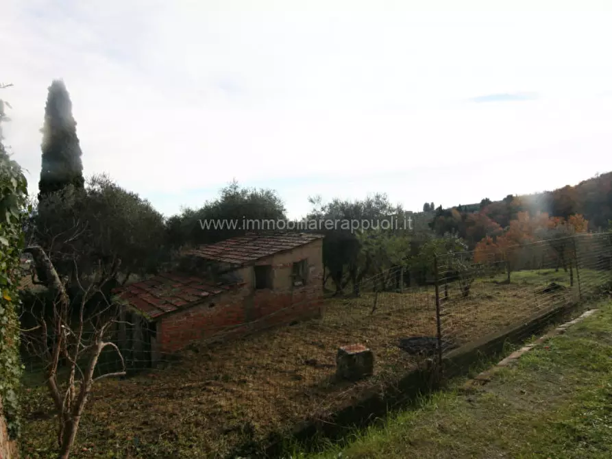 Immagine 10 di Casa indipendente in vendita  a Sinalunga