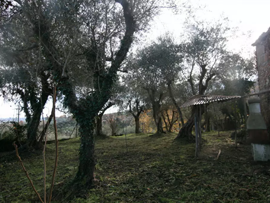 Immagine 23 di Casa indipendente in vendita  a Sinalunga