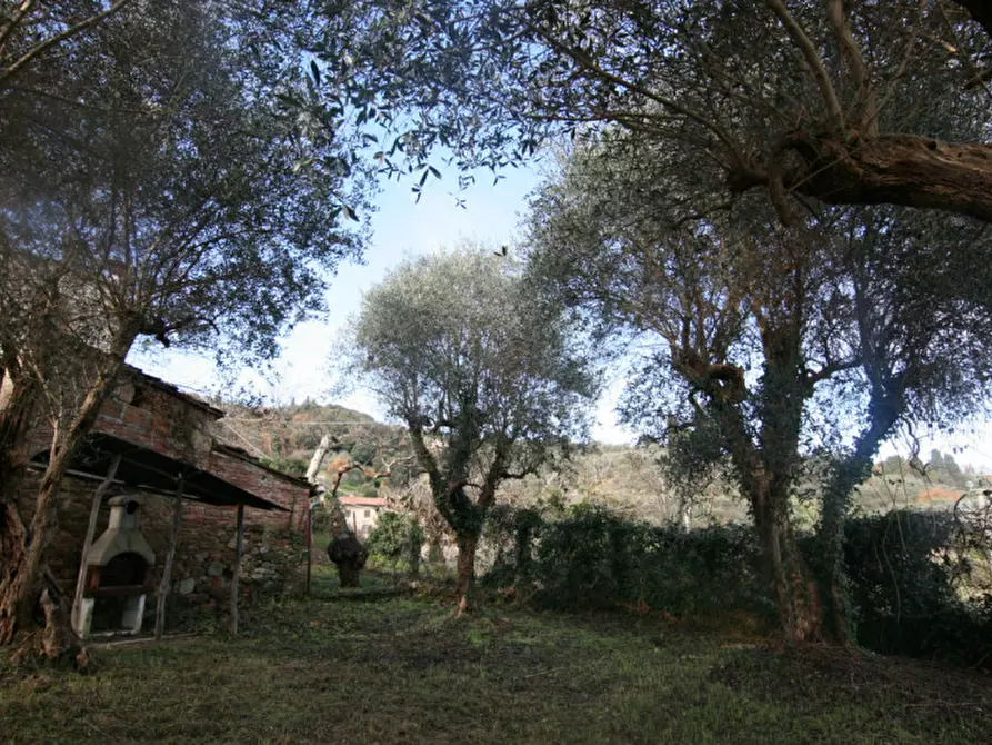Immagine 24 di Casa indipendente in vendita  a Sinalunga