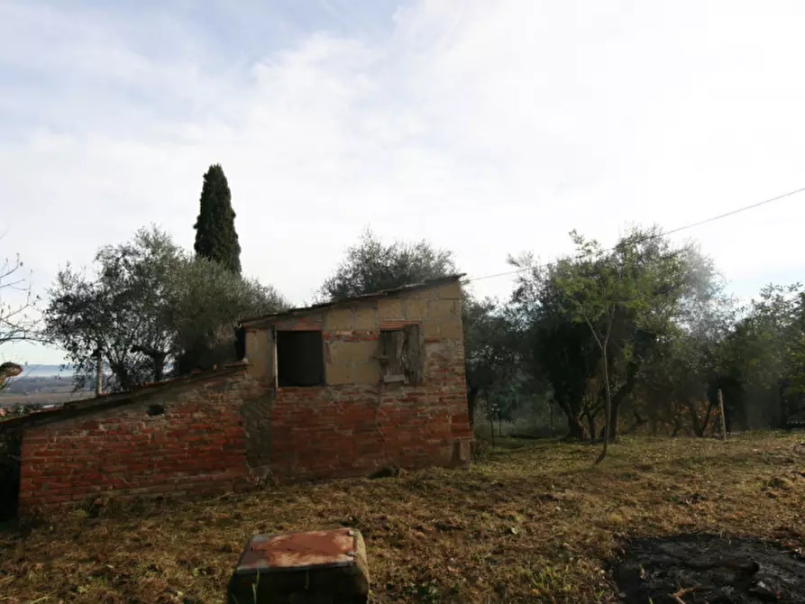 Immagine 25 di Casa indipendente in vendita  a Sinalunga