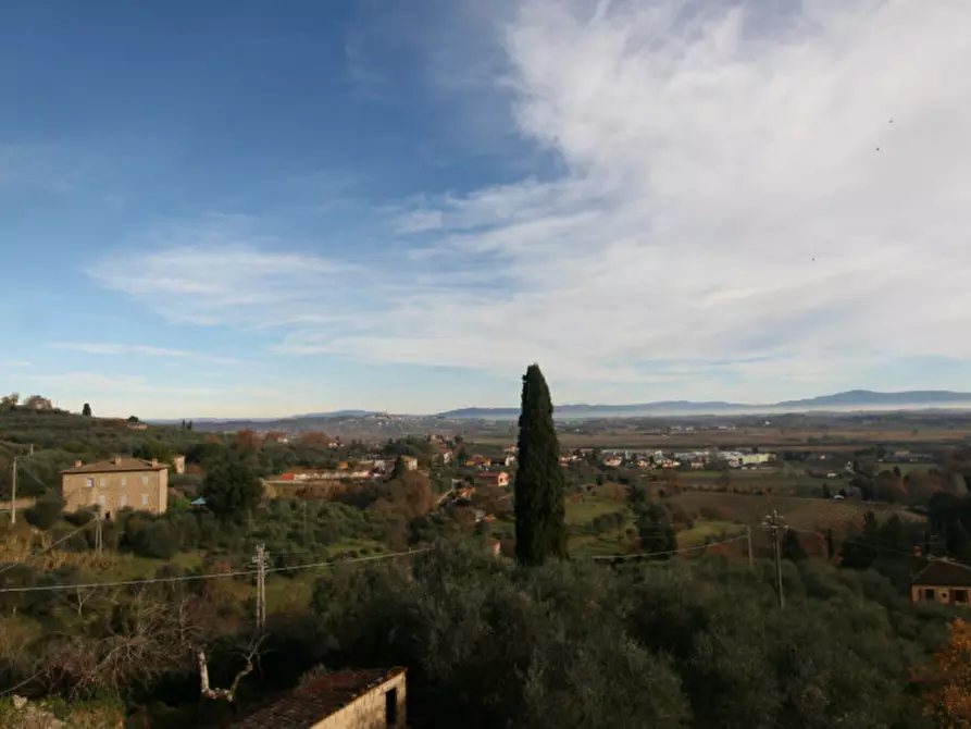 Immagine 26 di Casa indipendente in vendita  a Sinalunga