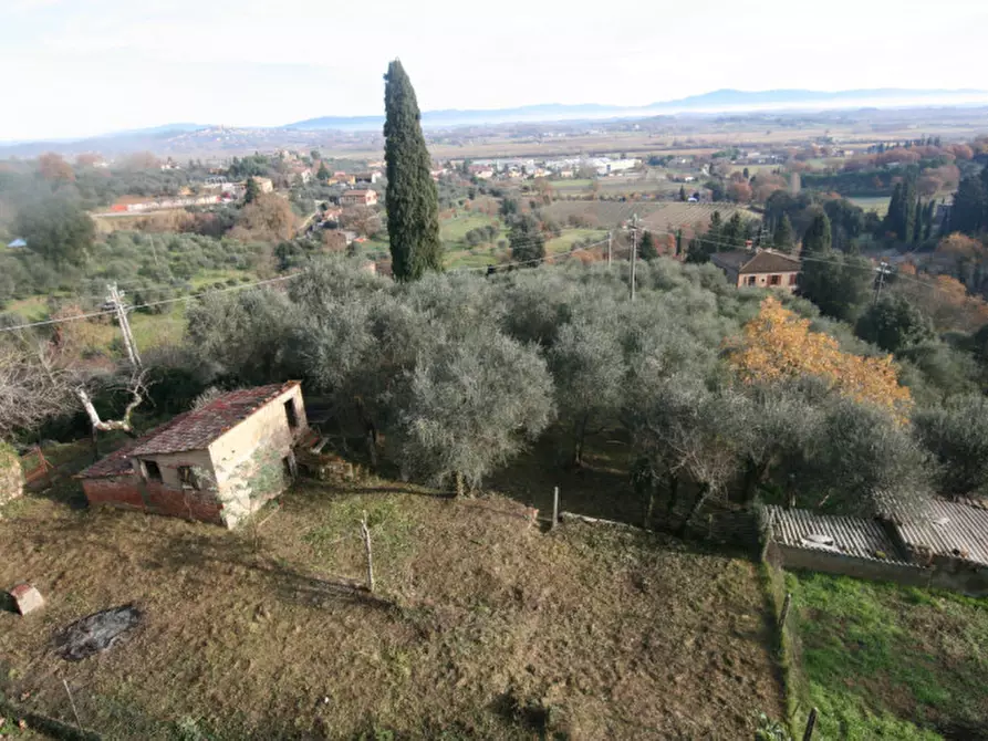 Immagine 27 di Casa indipendente in vendita  a Sinalunga