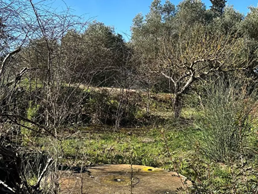 Immagine 16 di Hotel in vendita  in contrada tanzarella a Cisternino