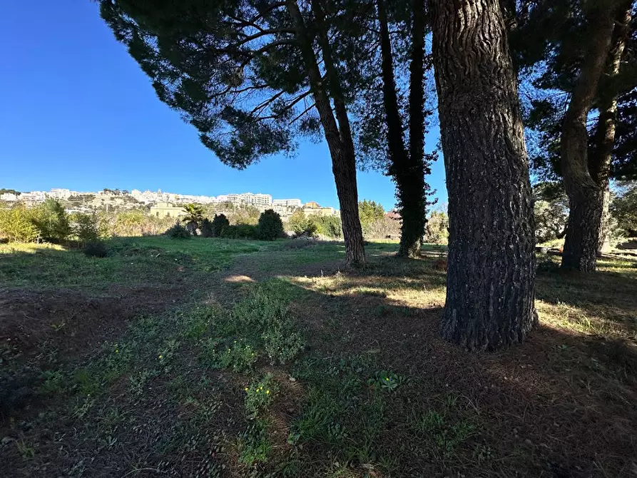 Immagine 17 di Hotel in vendita  in contrada tanzarella a Cisternino