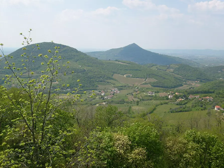 Immagine 4 di Terreno in vendita  in via Valleselle a Arqua' Petrarca