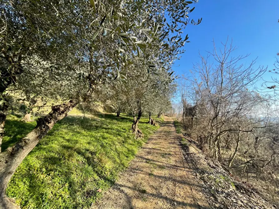 Immagine 4 di Terreno in vendita  a Villaga