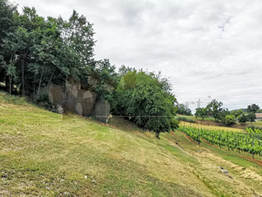 Immagine 10 di Rustico / casale in vendita  a Villaga