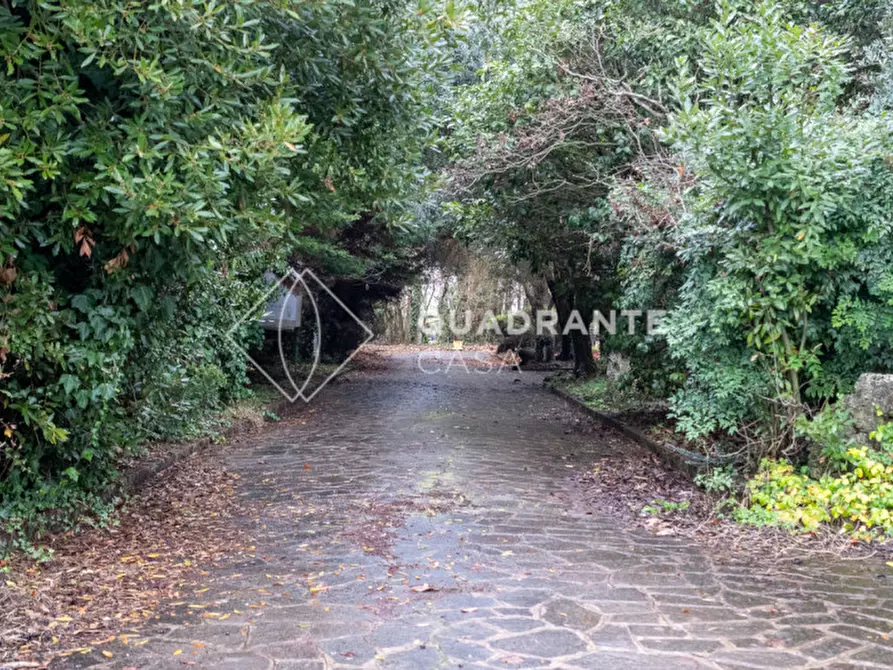 Immagine 84 di Villa in vendita  in Via Ceresara a Limena