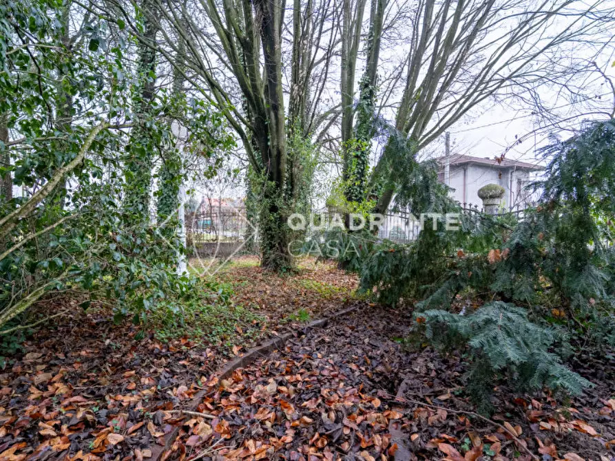 Immagine 96 di Villa in vendita  in Via Ceresara a Limena