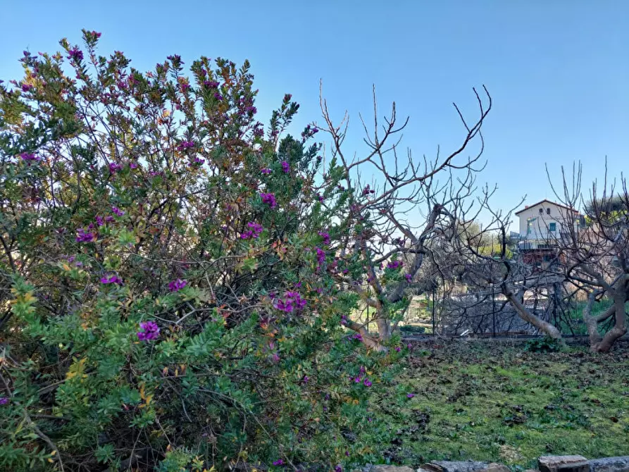 Immagine 29 di Casa indipendente in vendita  in San Bartolomeo a San Remo
