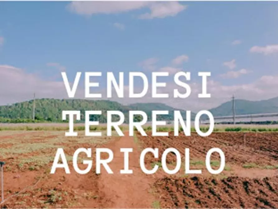 Immagine 1 di Terreno in vendita  a Zero Branco