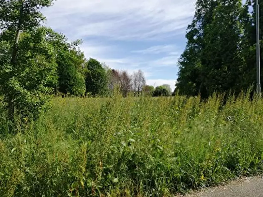 Immagine 4 di Terreno in vendita  in Via Terraglio a Treviso