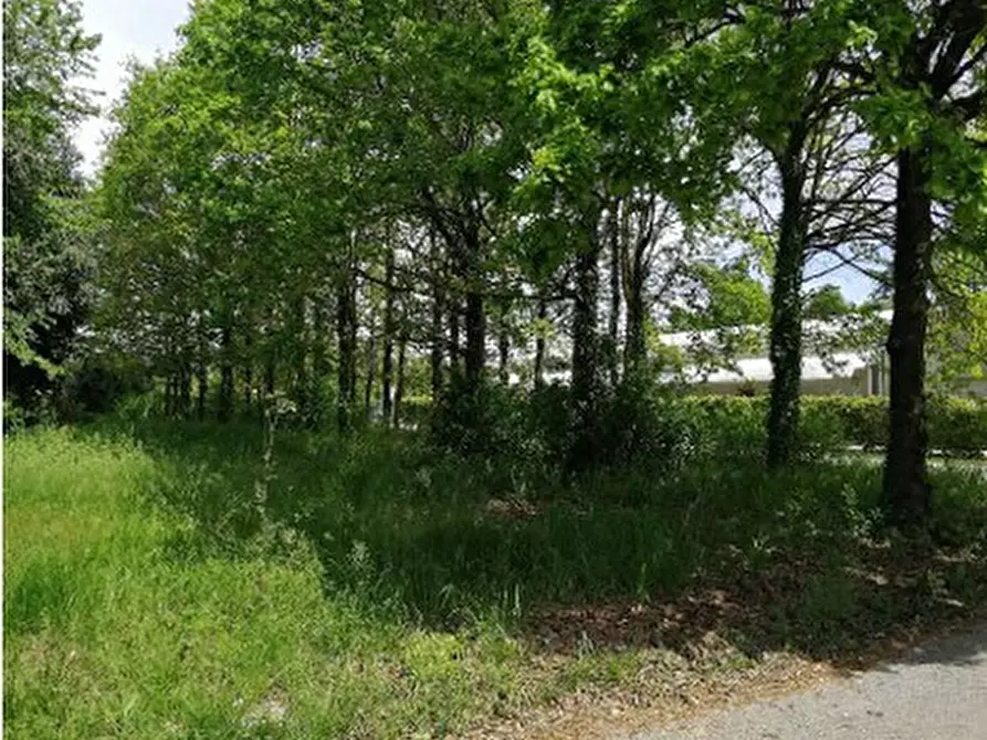 Immagine 5 di Terreno in vendita  in Via Terraglio a Treviso