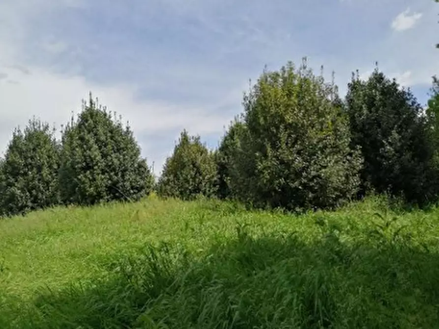 Immagine 6 di Terreno in vendita  in Via Terraglio a Treviso