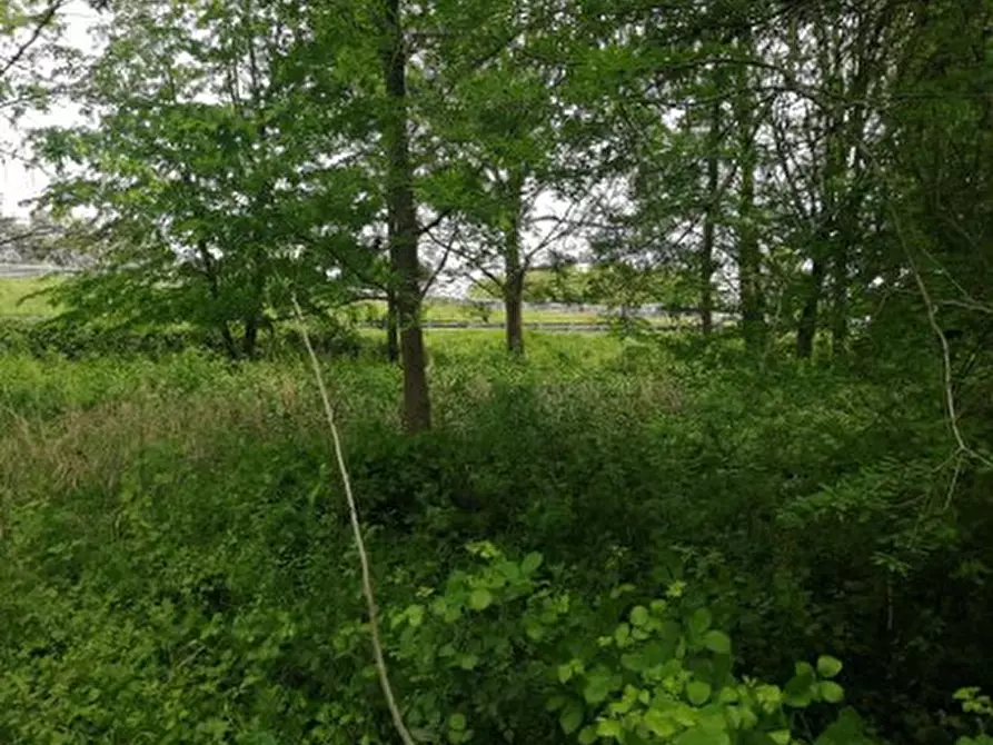 Immagine 2 di Terreno in vendita  in Via Terraglio a Treviso