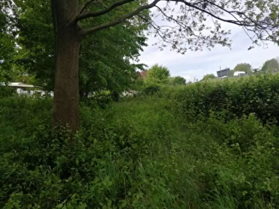 Immagine 3 di Terreno in vendita  in Via Terraglio a Treviso