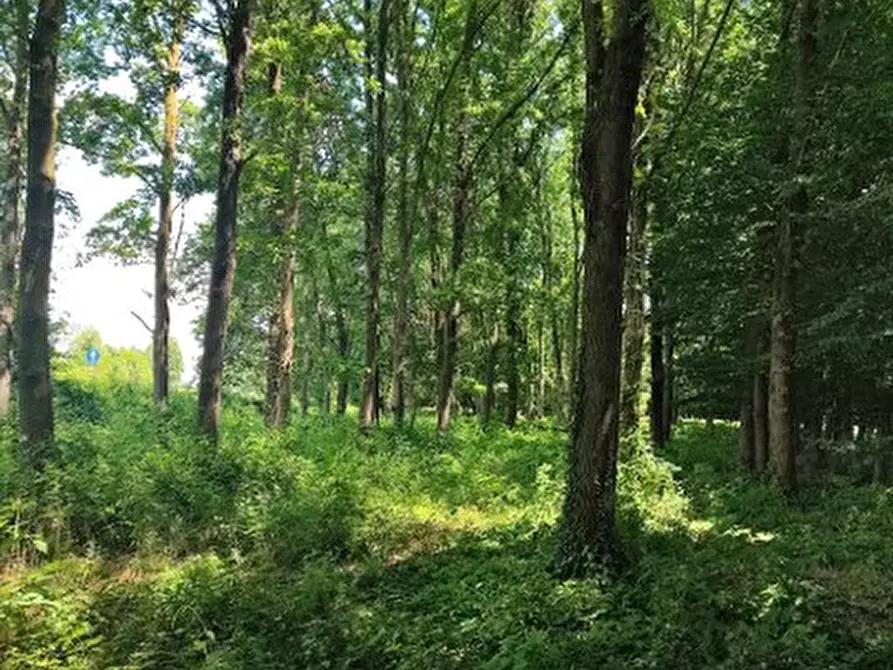 Immagine 4 di Terreno in vendita  in Via Terraglio a Treviso