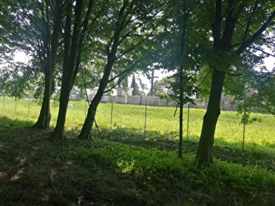 Immagine 5 di Terreno in vendita  in Via Terraglio a Treviso