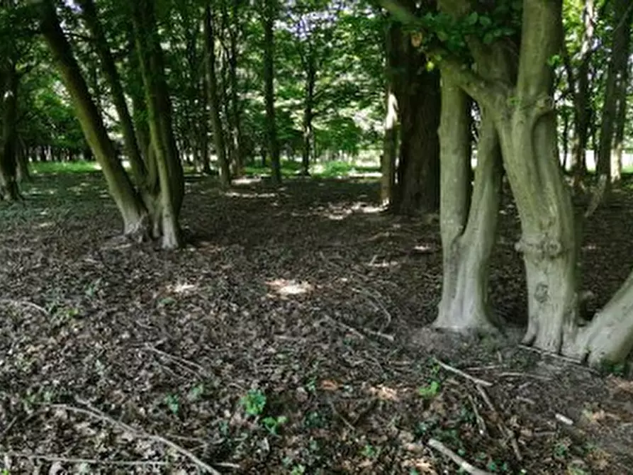 Immagine 6 di Terreno in vendita  in Via Terraglio a Treviso