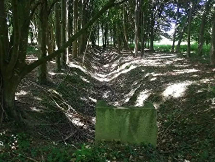 Immagine 7 di Terreno in vendita  in Via Terraglio a Treviso