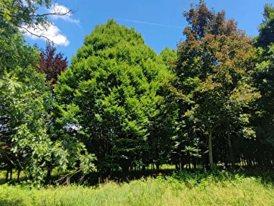 Immagine 8 di Terreno in vendita  in Via Terraglio a Treviso