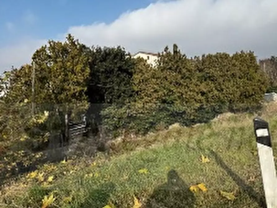 Immagine 5 di Capannone industriale in vendita  in VIA CICOGNA 5/6 a Roveredo Di Gua'