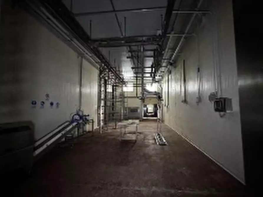 Immagine 25 di Capannone industriale in vendita  in VIA CICOGNA 5/6 a Roveredo Di Gua'