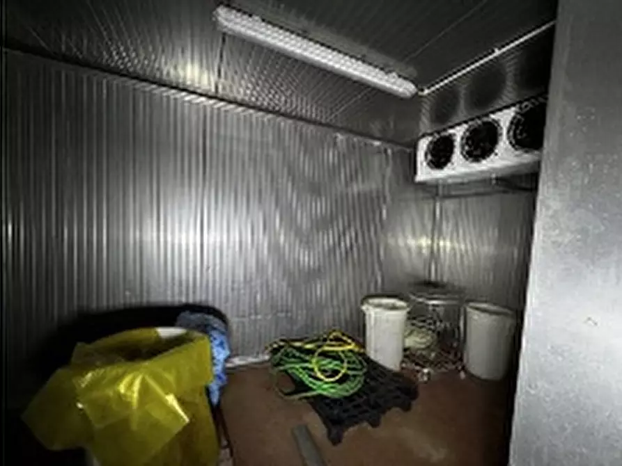 Immagine 37 di Capannone industriale in vendita  in VIA CICOGNA 5/6 a Roveredo Di Gua'