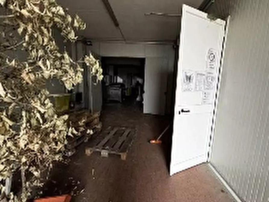 Immagine 43 di Capannone industriale in vendita  in VIA CICOGNA 5/6 a Roveredo Di Gua'