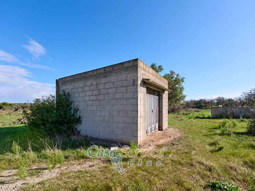 Immagine 2 di Terreno in vendita  in Contrada Stallone a Matino