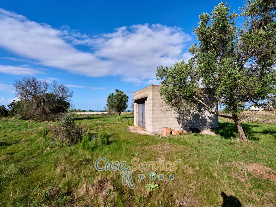 Immagine 3 di Terreno in vendita  in Contrada Stallone a Matino