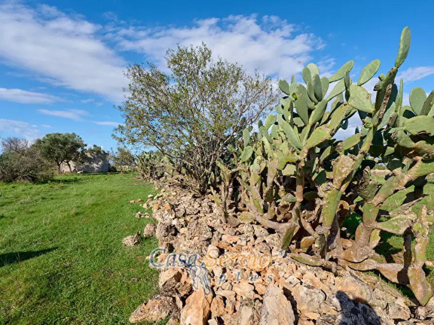 Immagine 5 di Terreno in vendita  in Contrada Stallone a Matino