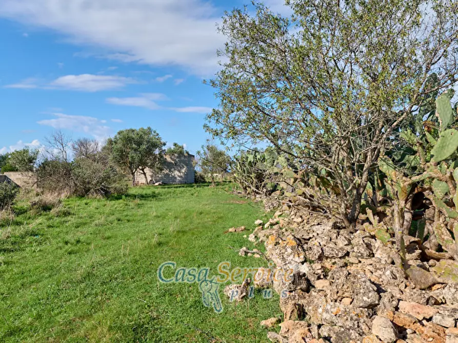 Immagine 6 di Terreno in vendita  in Contrada Stallone a Matino