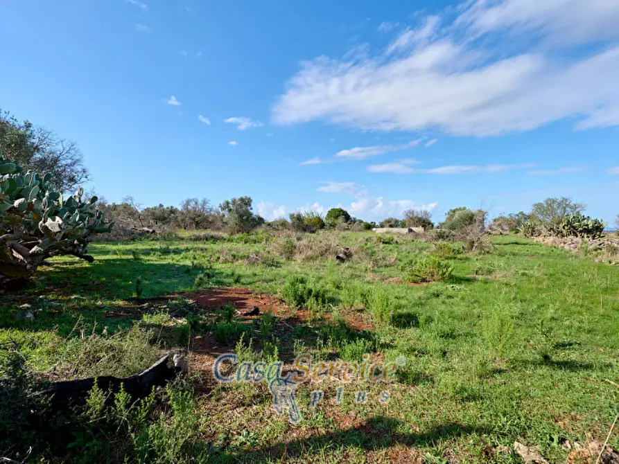 Immagine 8 di Terreno in vendita  in Contrada Stallone a Matino