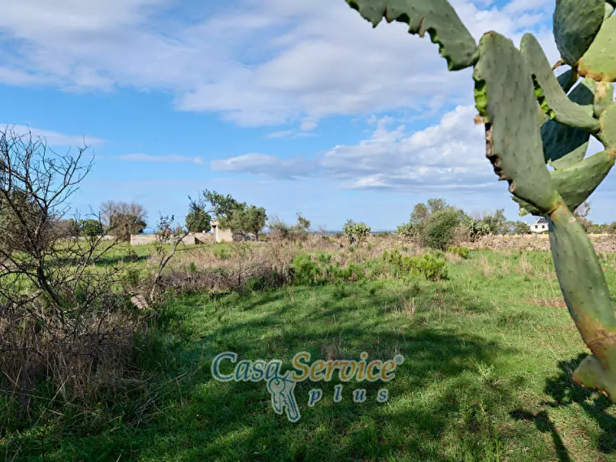 Immagine 9 di Terreno in vendita  in Contrada Stallone a Matino